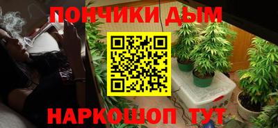 дурь Гай