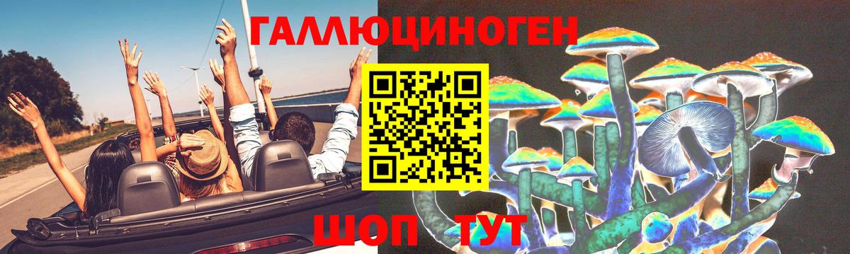 Галлюциногенные грибы GOLDEN TEACHER  Вход с VPN  Тара 